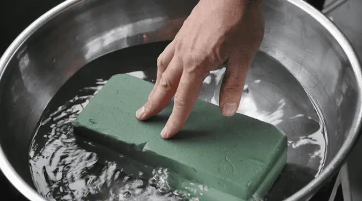 نحوه صحیح آبیاری اسفنج باکس گل با آبپاش کوچک