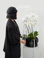 گیاه 3 شاخه ارکیده سفید - Image 2