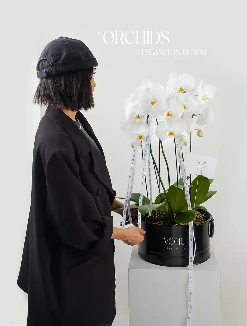 گیاه 3 شاخه ارکیده سفید - Image 2