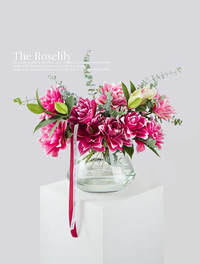 جار گل 3 شاخه لی‌لی رز سرخابی کایرا - Image 1