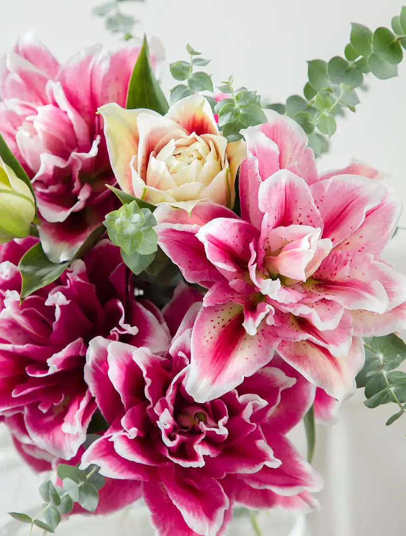 جار گل 3 شاخه لی‌لی رز سرخابی کایرا - Image 3