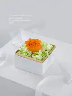 باکس گل رز جاودان نارنجی ماتیار