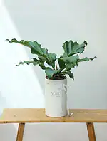 گلدان پلیمری موج عشق