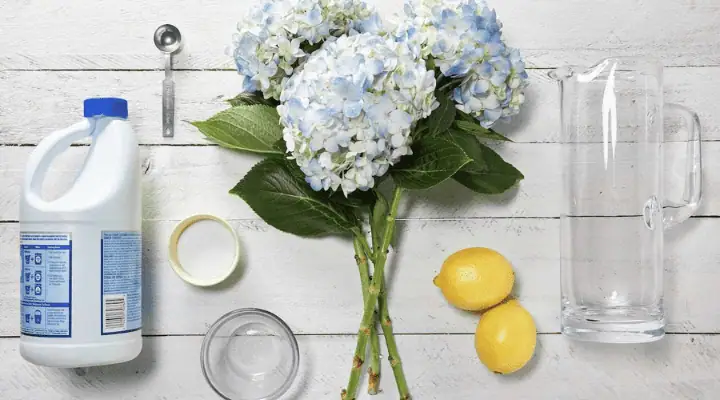 دو عدد لیمو، شکر و چند شاخه گل و محلول نگهدارنده