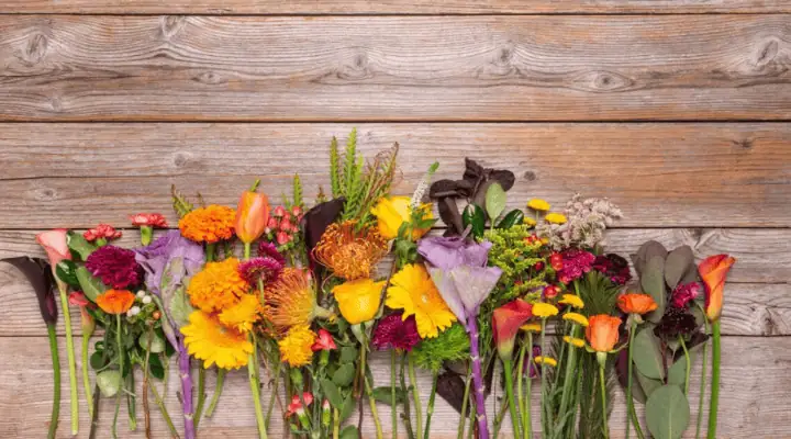 تعدادی شاخه گل پاییزی