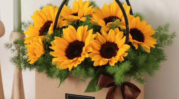 یک جعبه باکس گل آفتابگردان