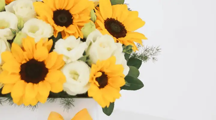 یک باکس گل آفتاب گردان و رز از نزدیک