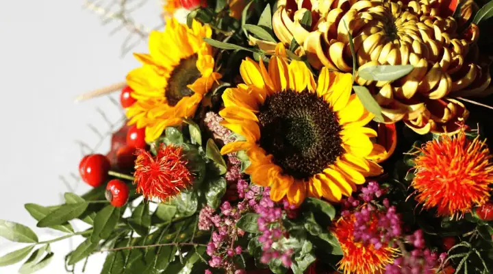 مقداری گل شاخه بریده پاییزی