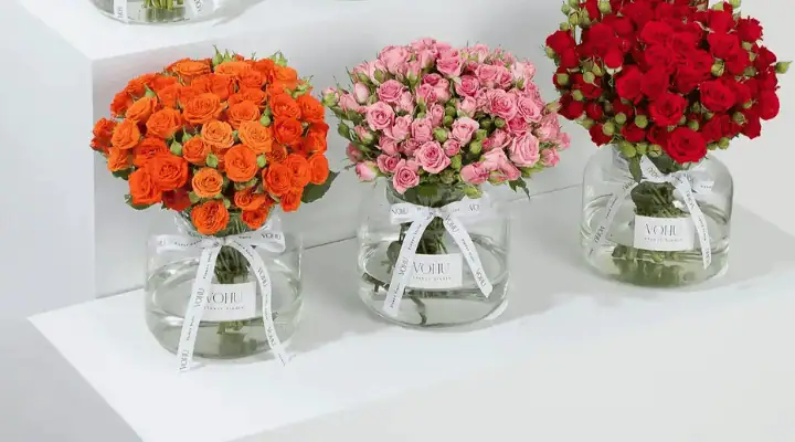 سه جار گل مینیاتوری رنگارنگ