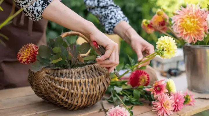 فردی در حال آماده کردن سبد گل