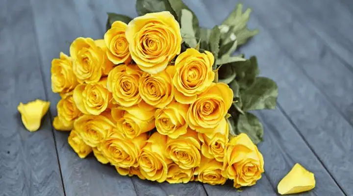 یک دسته گل رز زرد
