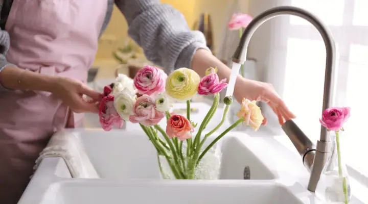 فردی در حال تعویض آب گلدان