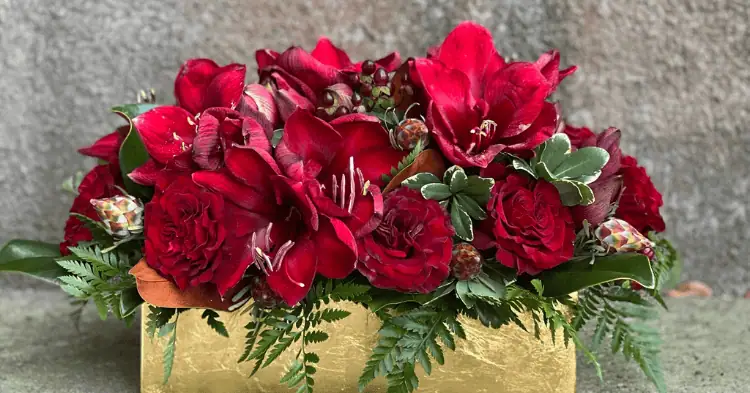 یک باکس گلهای قرمز 