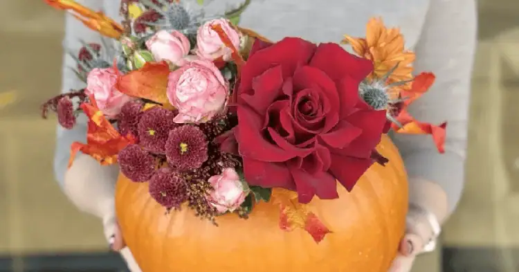 کدو تنبل گل ارایی شده