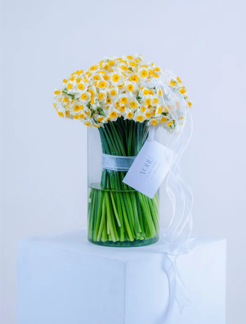 جارگل 150 شاخه گل نرگس فادیا - Image 1