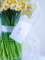 جارگل 150 شاخه گل نرگس فادیا - Image 3