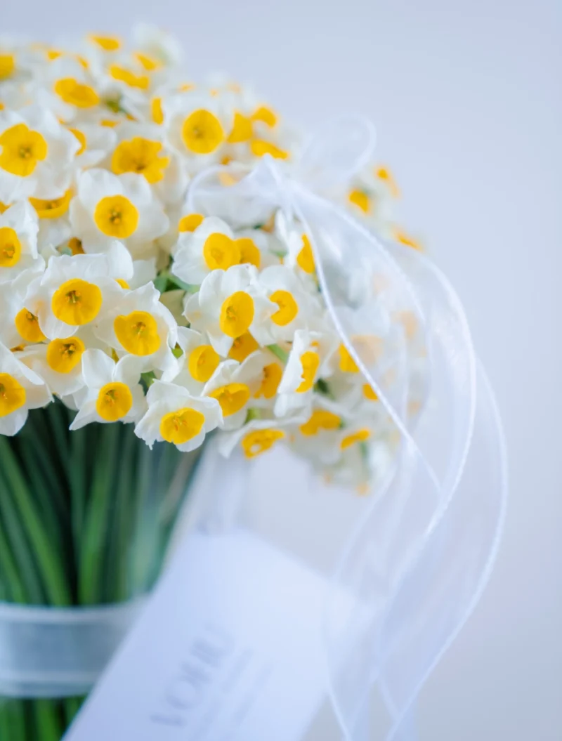 جارگل 150 شاخه گل نرگس فادیا - Image 2