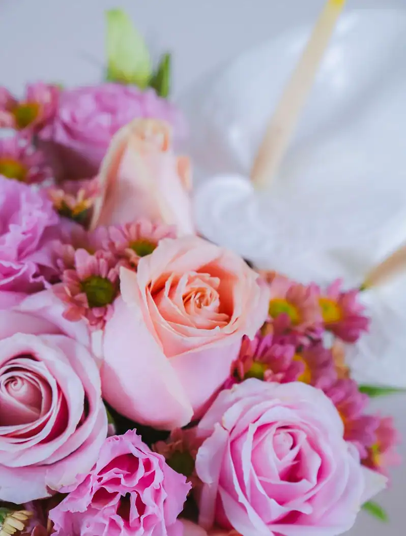 جار گل مهلا - Image 2