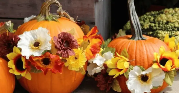 دو کدوی گل آرایی شده