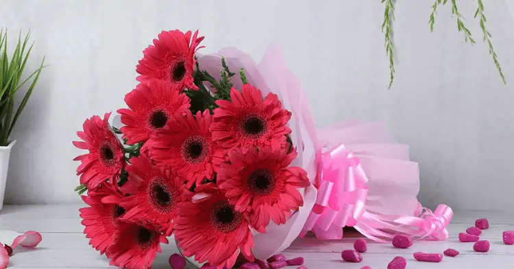 یک دسته گل ژربرا قرمز