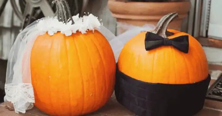 دو کدو تنبل تزئین شده با طرح عروس و داماد