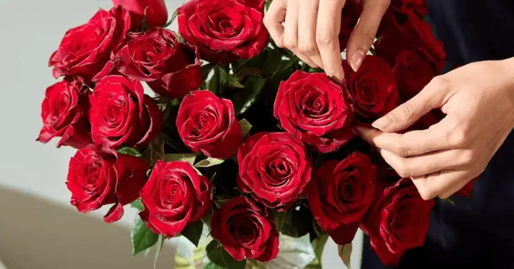 خانمی در حال لمس گلهای رز