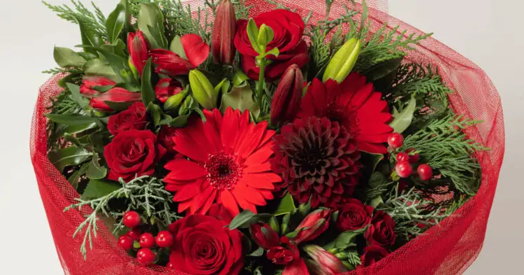 یک دسته گل با گلهای قرمز