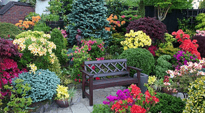 یک باغچه با گل های چهار فصل