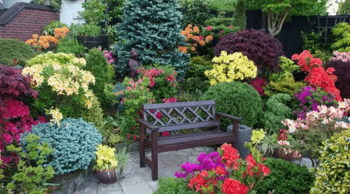 یک باغچه با گل های چهار فصل